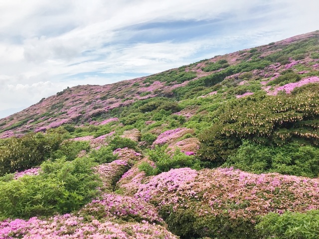 ■登山■九重連山　平治岳