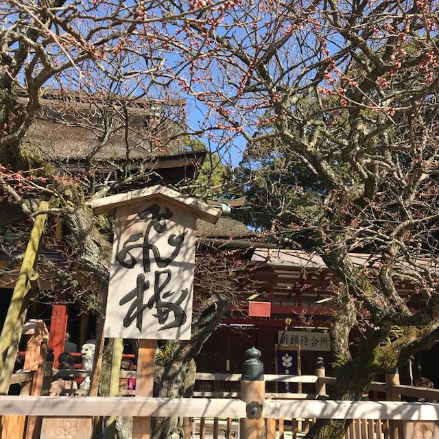 太宰府天満宮に参拝